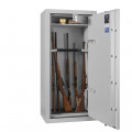 WT 250-03 Gun safe
